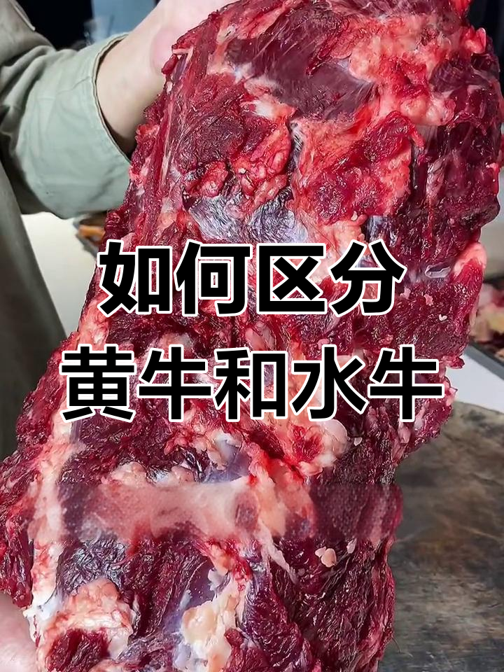 黄牛肉与水牛肉的区别解析