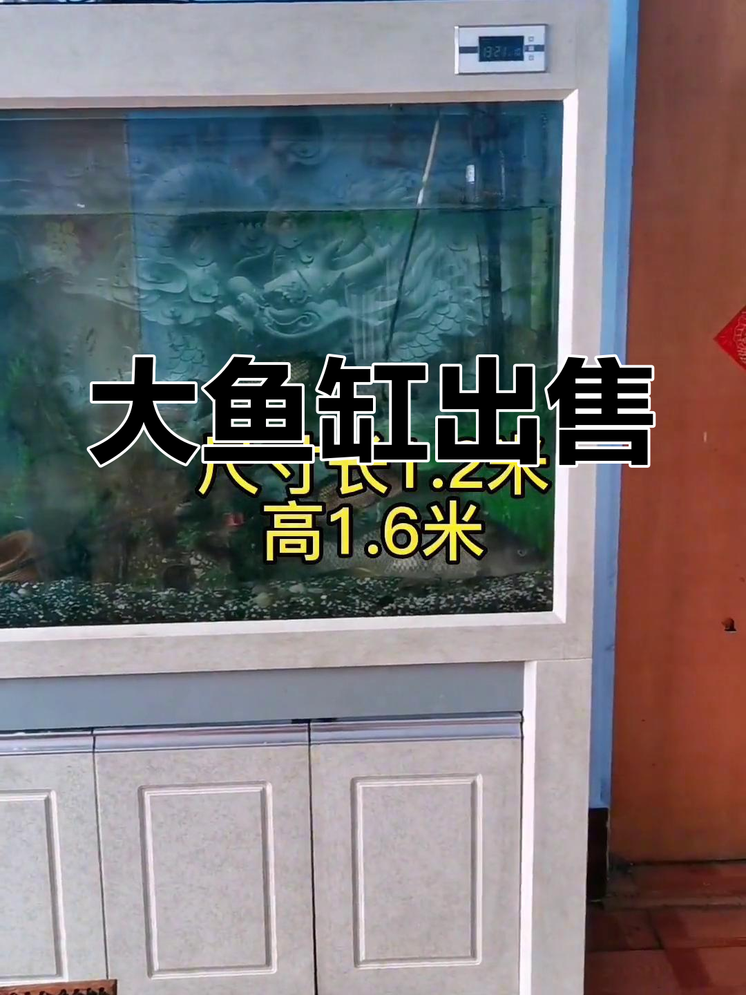 闲置大鱼缸,尺寸1.2米×1.6米,适合热带鱼类
