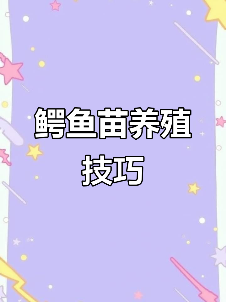 小鳄鱼苗到家如何正确饲养?先静养再盘玩