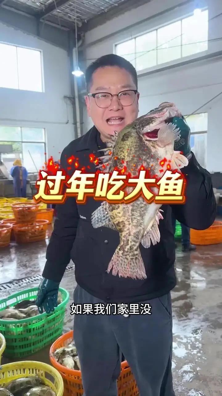 过年买臭鳜鱼不知道买多大的吗？从8两到2斤任你挑选，还有超级大鳜鱼，数量不多赶紧预定