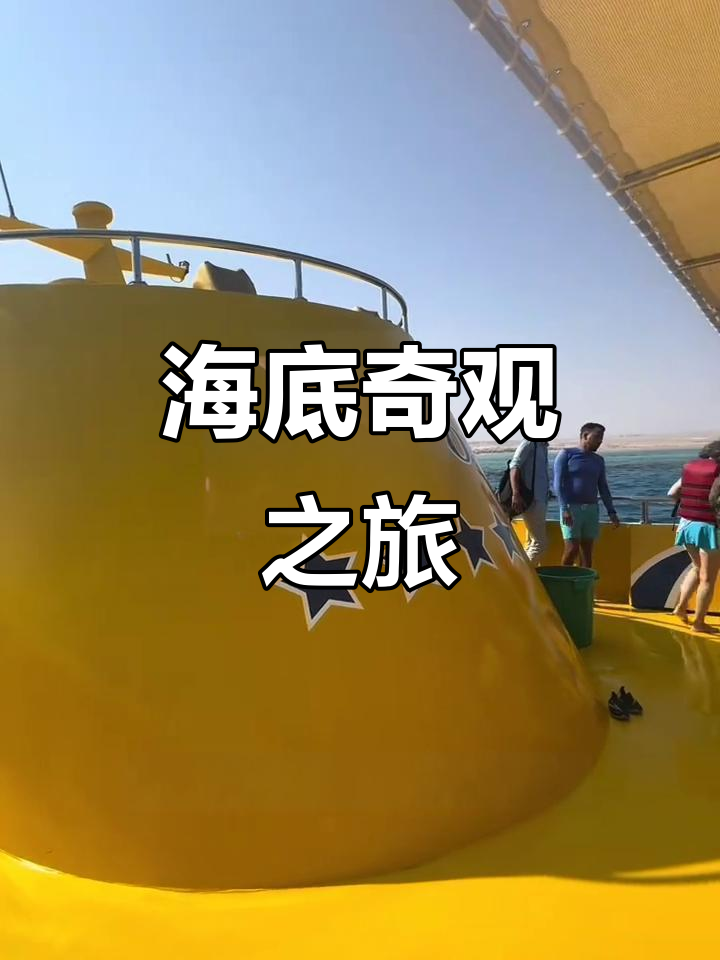 坐在玻璃船上,尽享海底奇幻之旅!