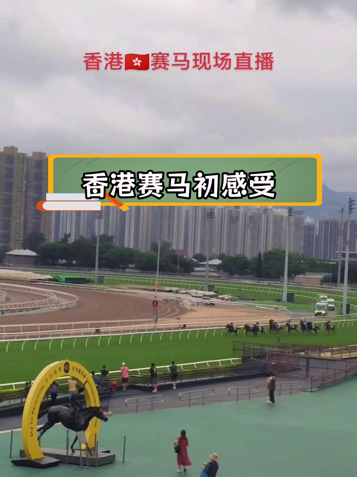赛马初体验:香港速度与激情