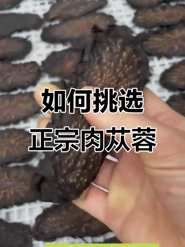 辨别真假肉苁蓉，避免买到假货！