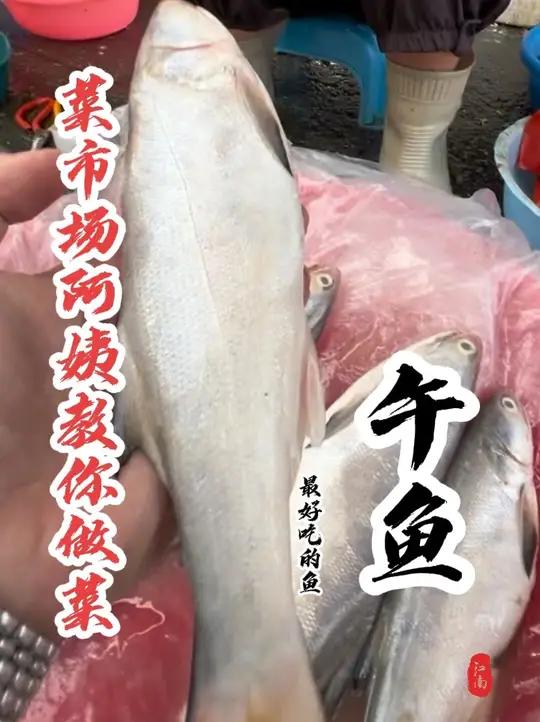 同学们,午鱼是最好吃的鱼你们同意吗?我这野生的一斤28贵不贵