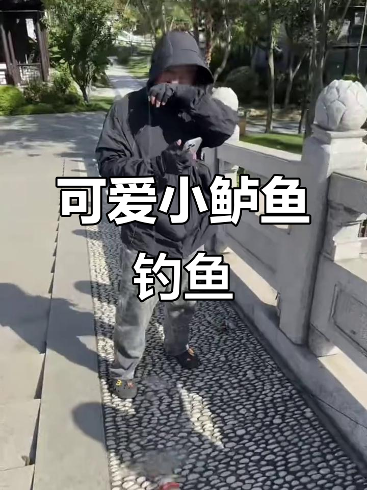 小鲈鱼路亚钓,放生小家伙成长记