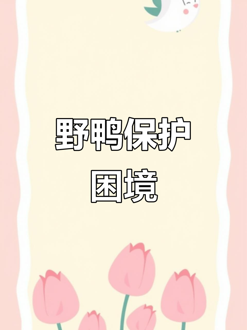 野鸭成保护动物，我该何去何从？在线等答案！