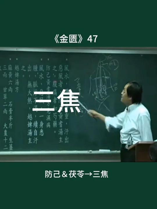 防己茯苓瓦楞子牡蛎,三焦淋巴