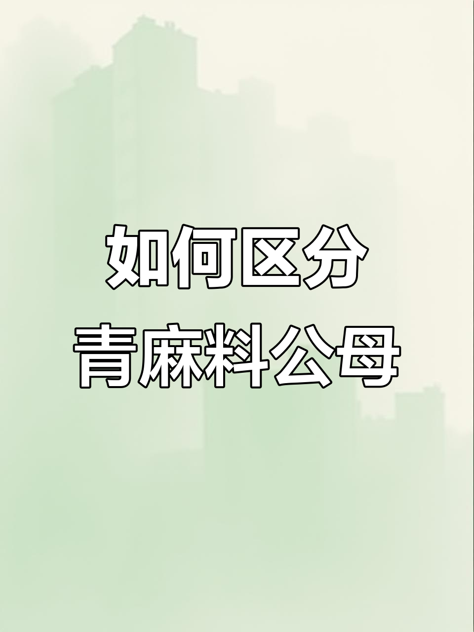 青麻料公母辨别技巧,教你如何分辨