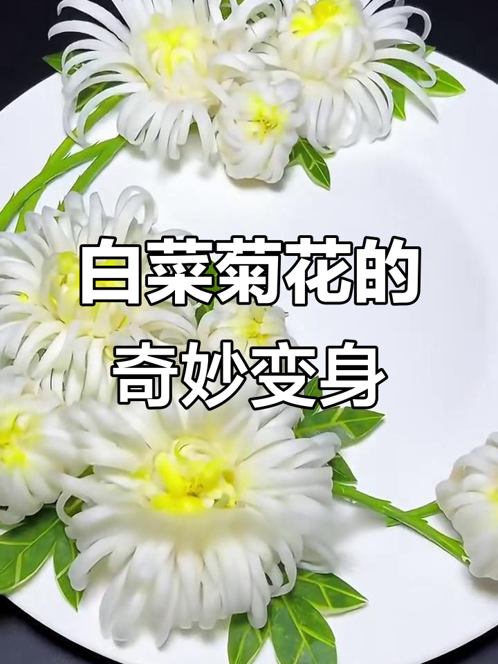 白菜菊花变废为宝,创意美食新玩法