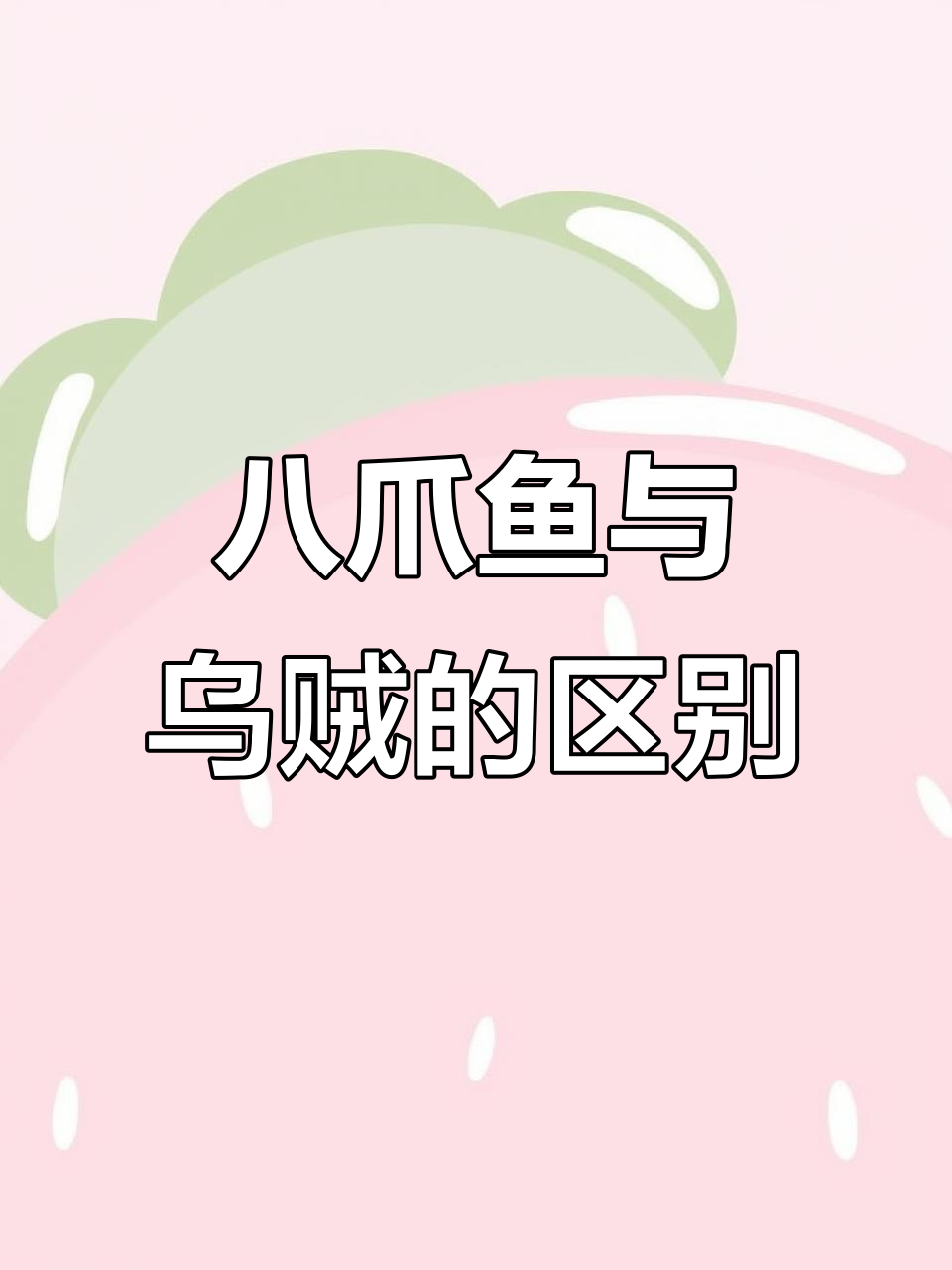 章鱼、墨鱼和鱿鱼的辨别,别再傻傻分不清了!