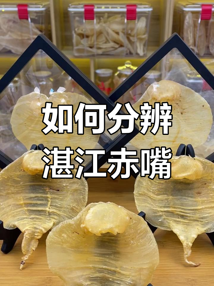 湛江赤嘴鱼胶辨别技巧