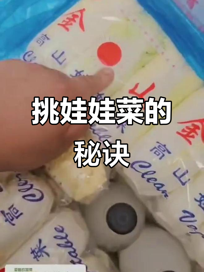 挑选娃娃菜有诀窍,颜色、大小冬季夏季各不同