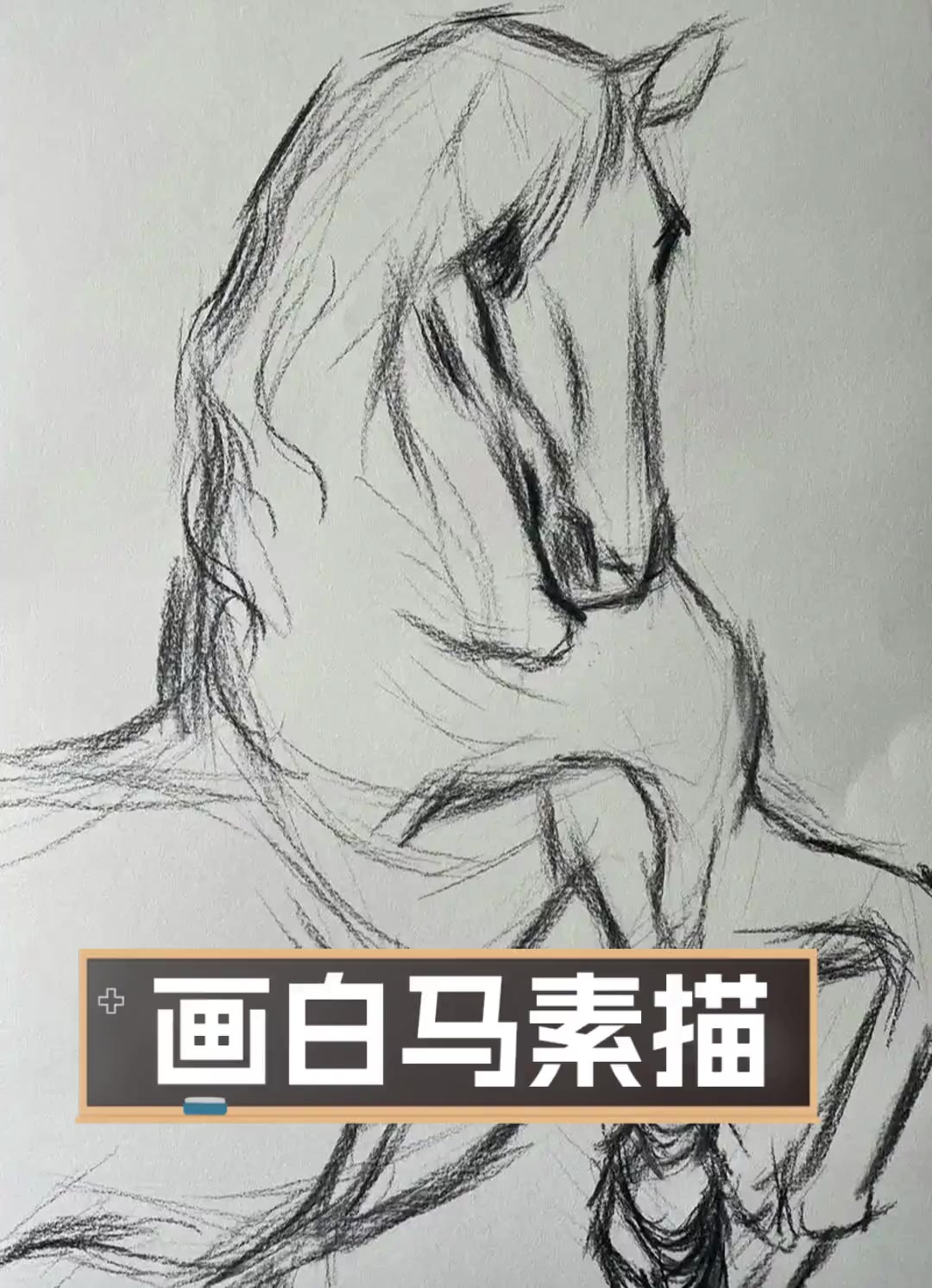 画白马素描