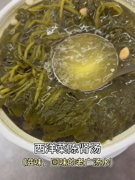 西洋菜炖陈肾汤！我师兄经常说的肾仔，不知道是不是这个 新鲜好食材炖汤美食制作分享靓汤