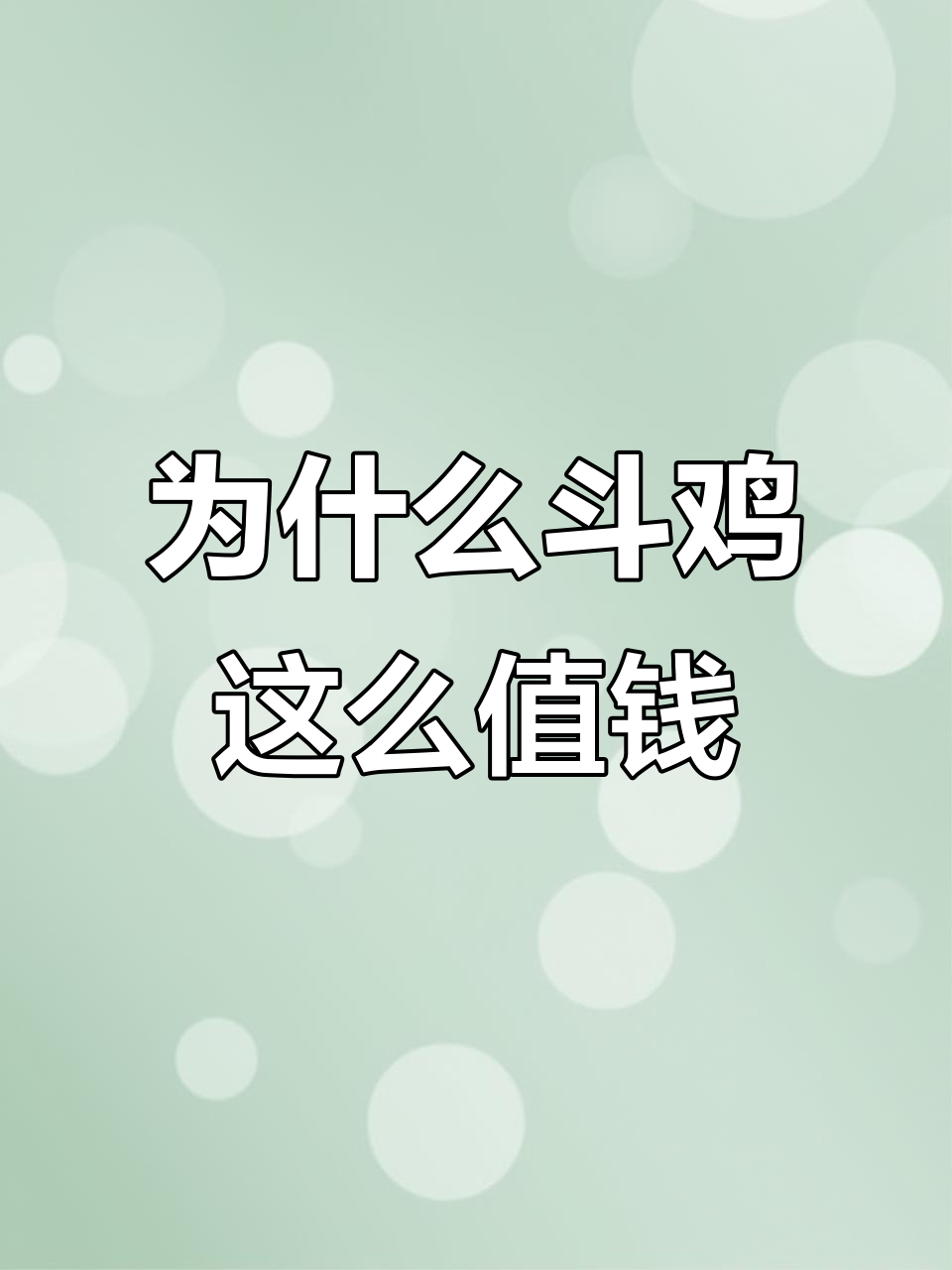 斗鸡为何能卖到几十万?揭秘背后的秘密