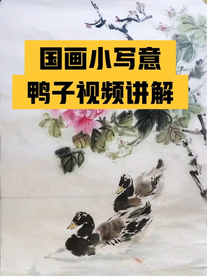 绘画/画小写意鸭子 视频讲解