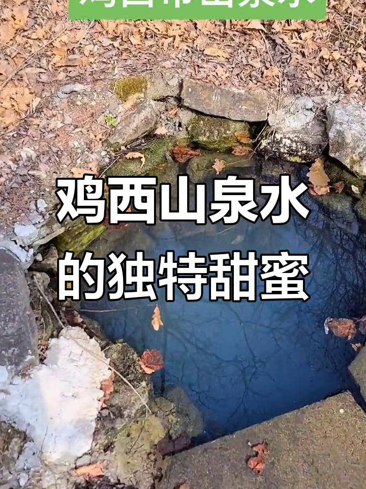 鸡西市山泉水,甜得像加了糖精一样