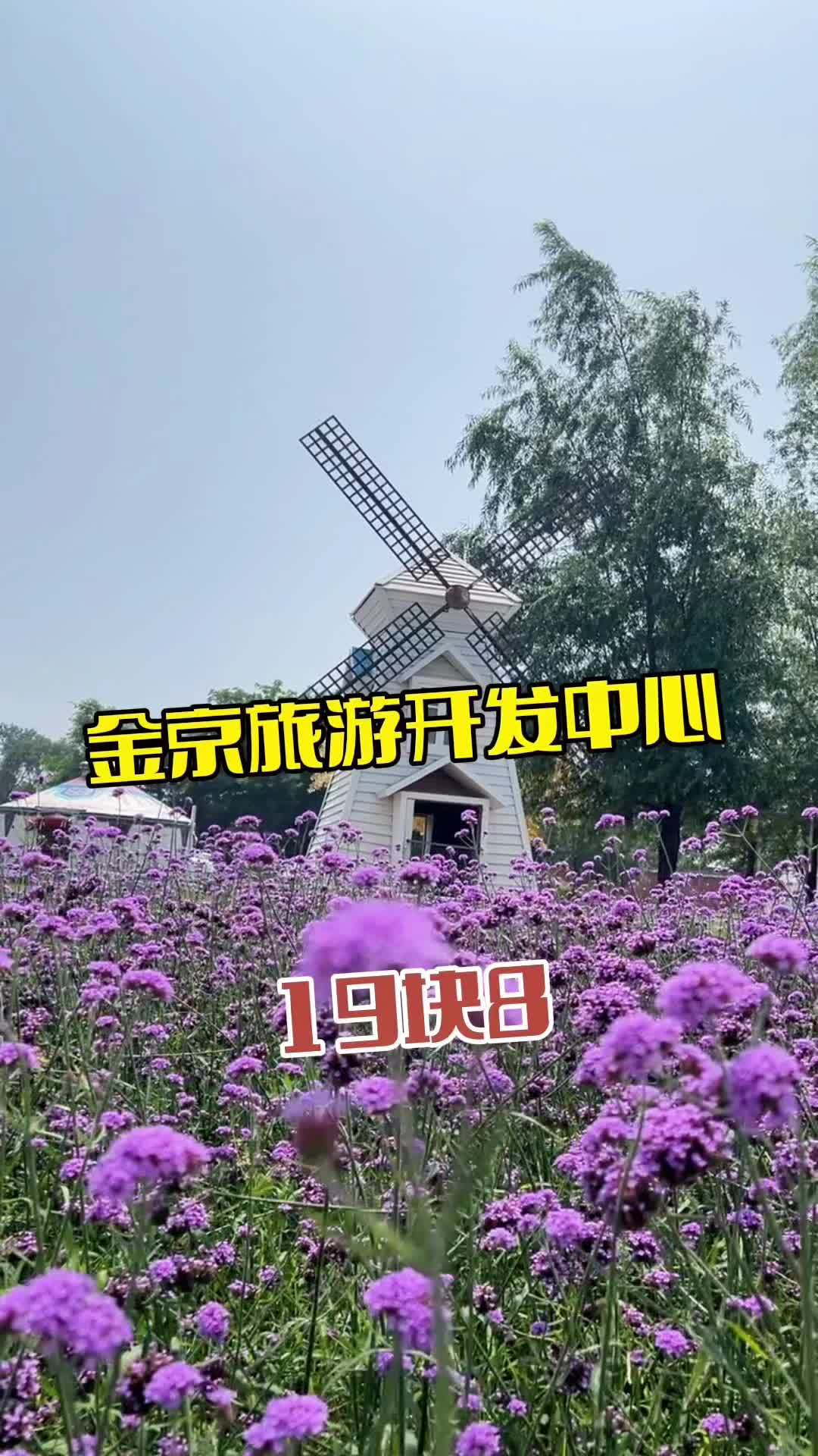 金京旅游开发中心 旅行推荐官 鲅鱼圈旅游攻略 周边游 亲子游玩好去处 海景民宿
