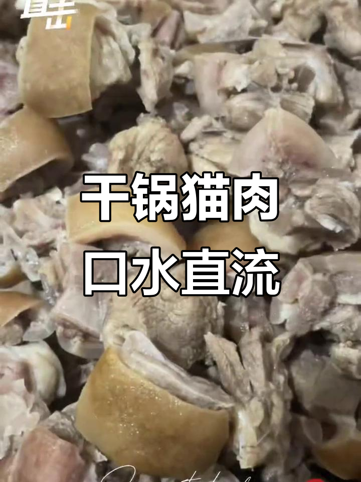干锅猫肉,香气扑鼻让人无法抗拒