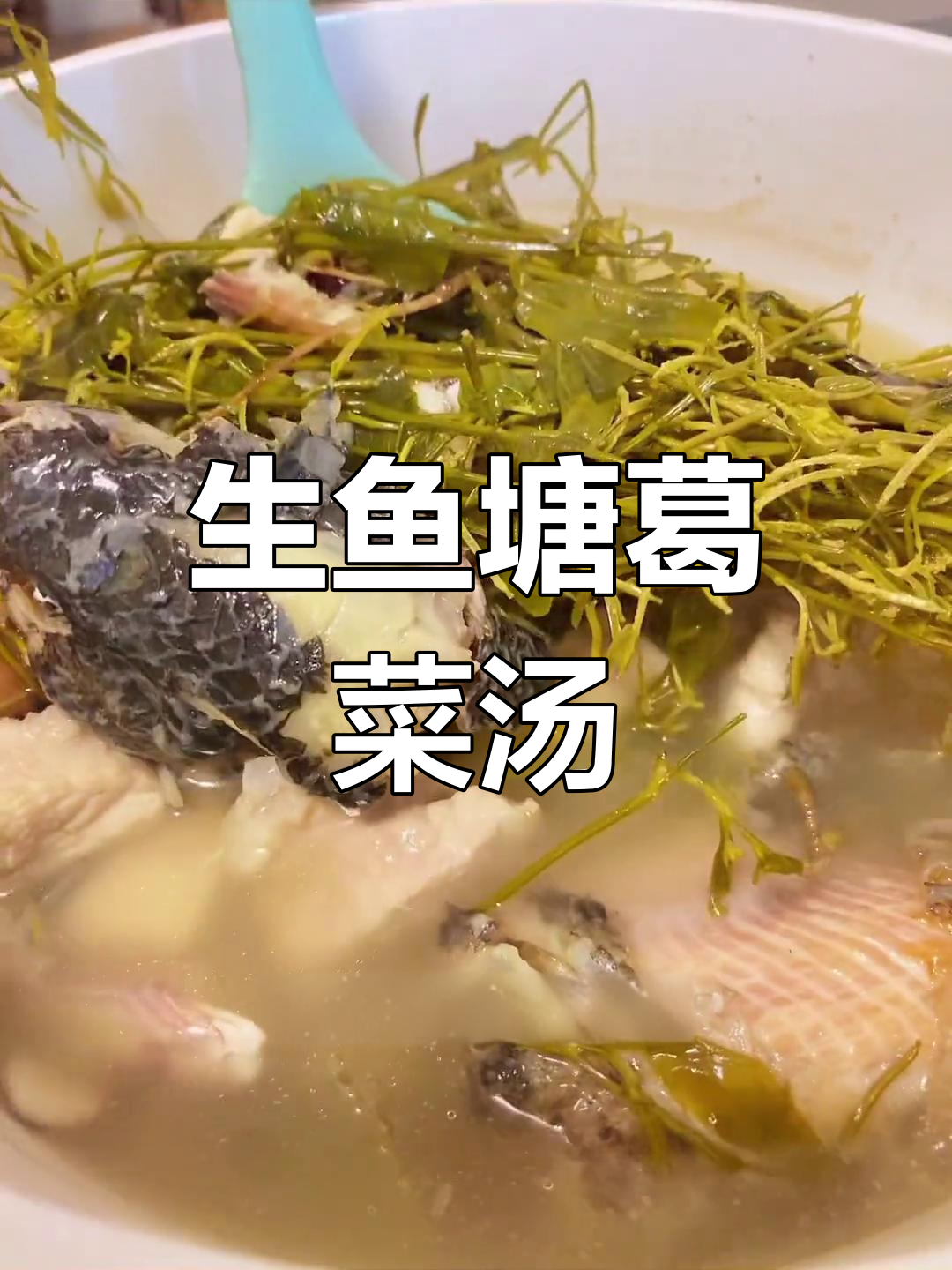 塘葛菜生鱼汤,缓解落枕疼痛