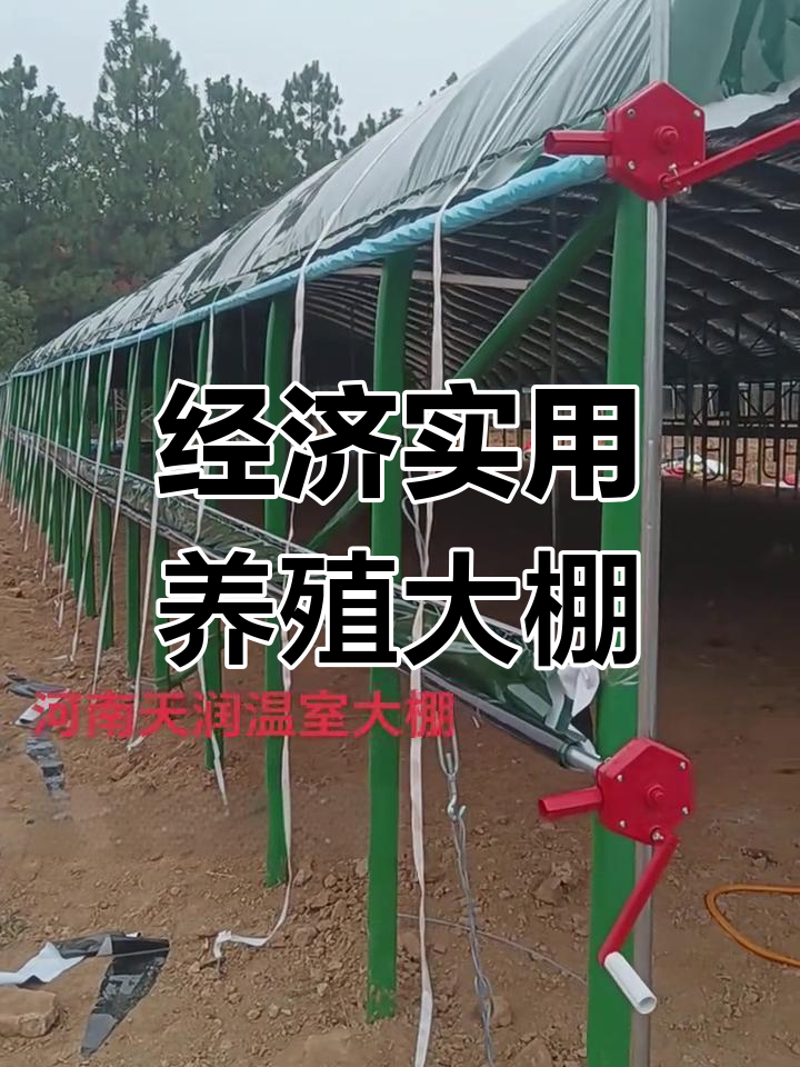 新型林下散养鸡棚设计,抗风雪四季宜用