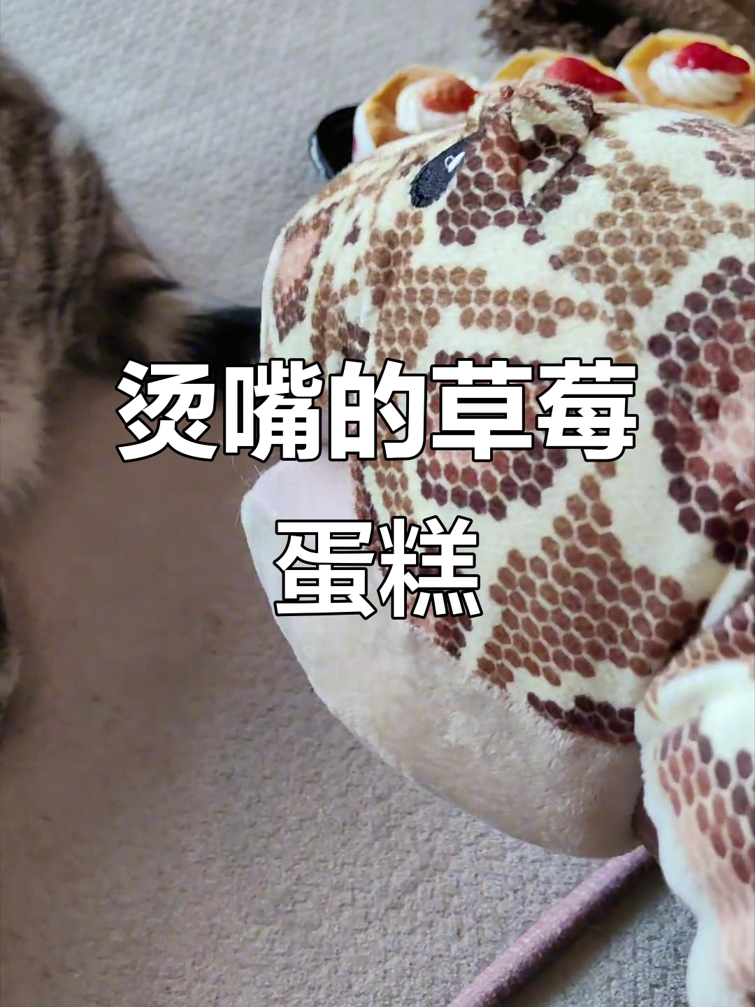 草莓乳酸菌蛋糕,蛇味芝麻图点大挑战!