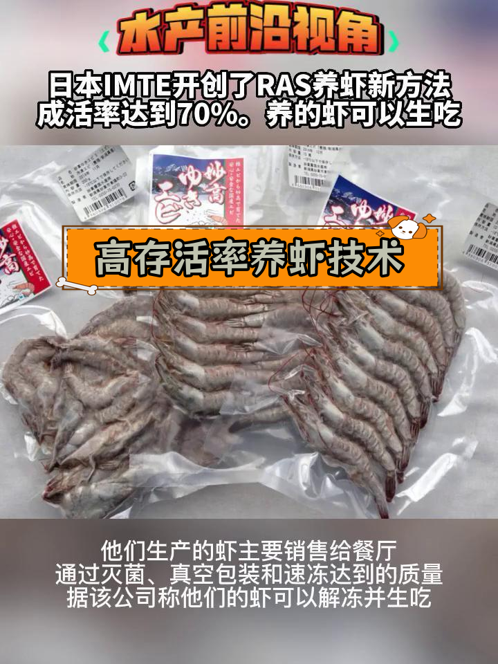 日本IMTE开发RAS养虾新法,成活率高达70%