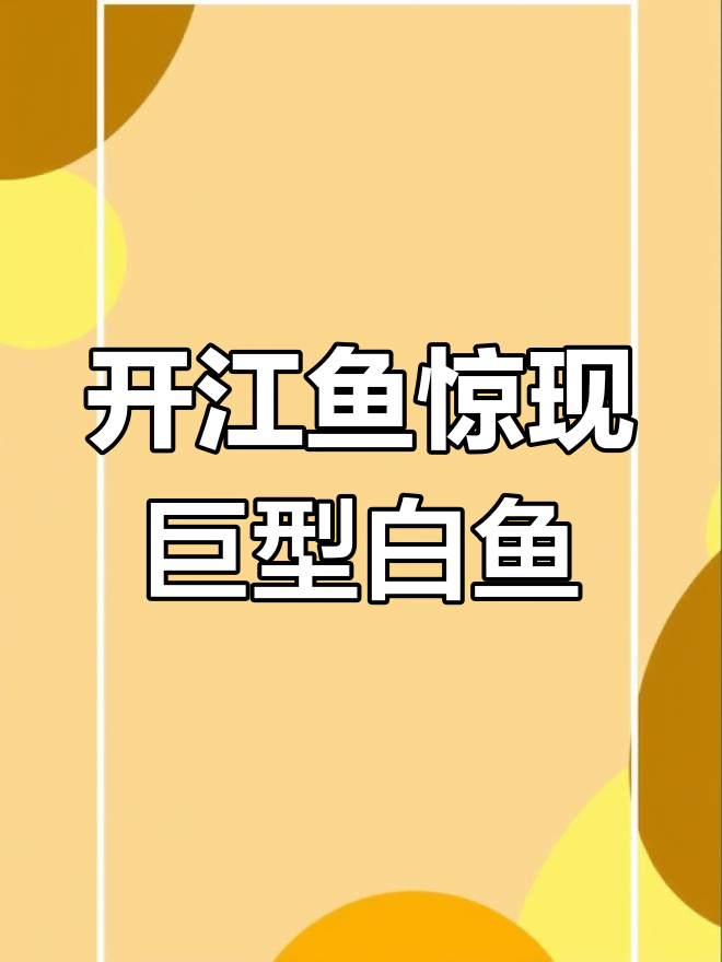 乌苏里江开江鱼大揭秘,大白鱼和兔子鱼的重量惊人!