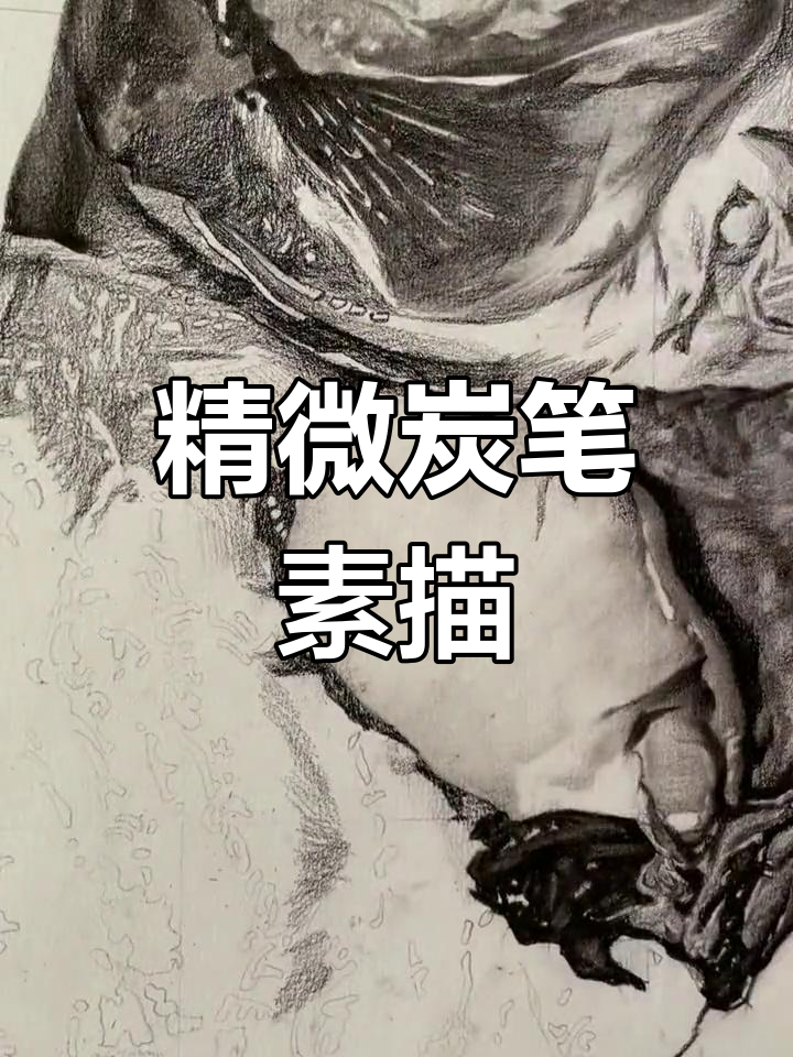鱼形素描绘制全过程,耐心观看