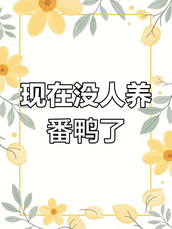 番鸭为何逐渐消失?