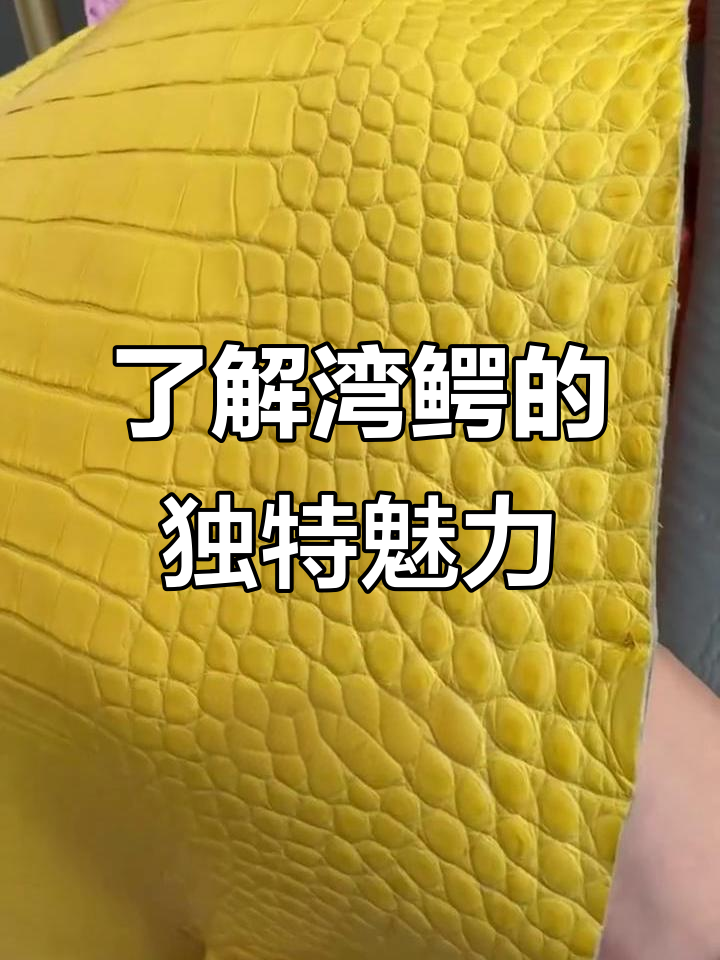 探秘湾鳄:世界上最昂贵的鳄鱼皮包包