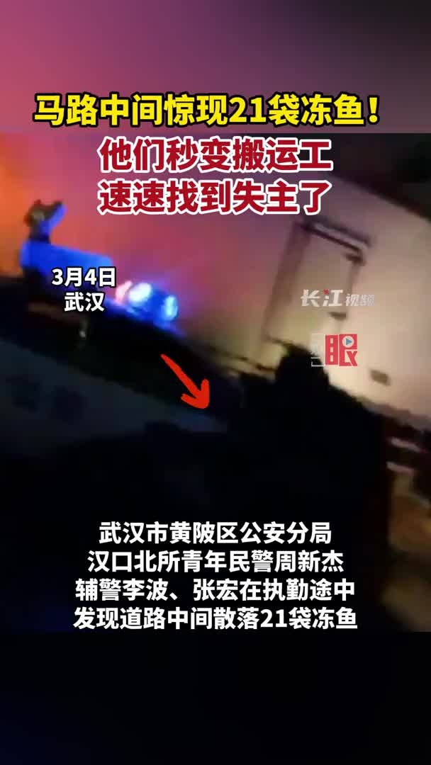 第一眼丨马路中间惊现21袋冻鱼!他们秒变搬运工,速速找到失主了