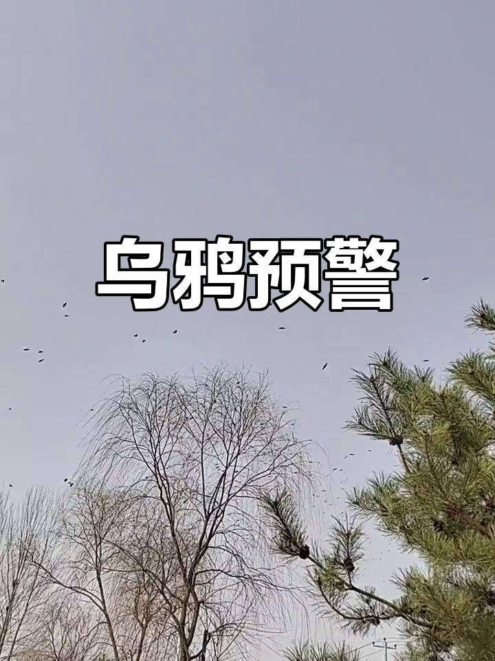 三月底四初,乌鸦啼叫预示艰难时期,健康与流感风险增加