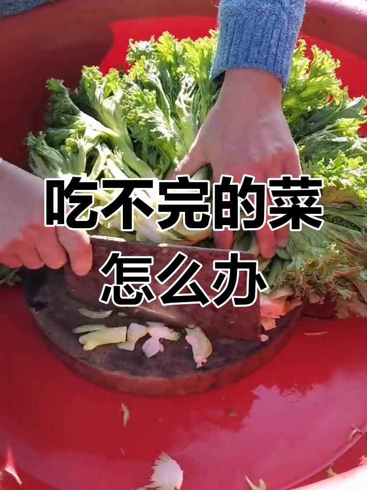 吃剩的青菜别浪费,试试这样做!