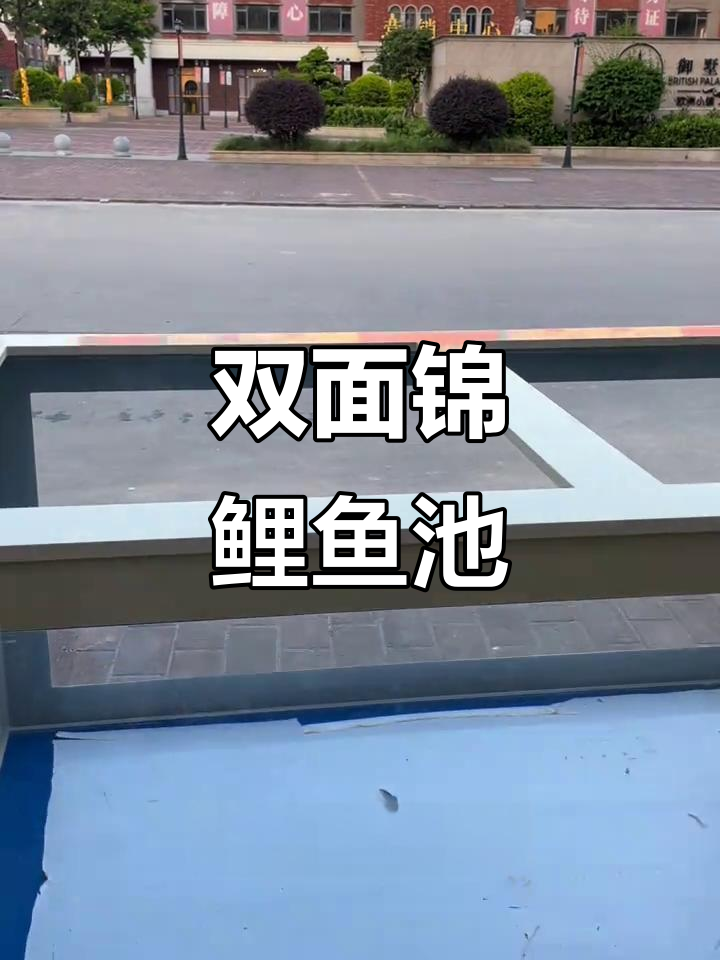 轻巧双面锦鲤地缸，循环过滤系统超强大