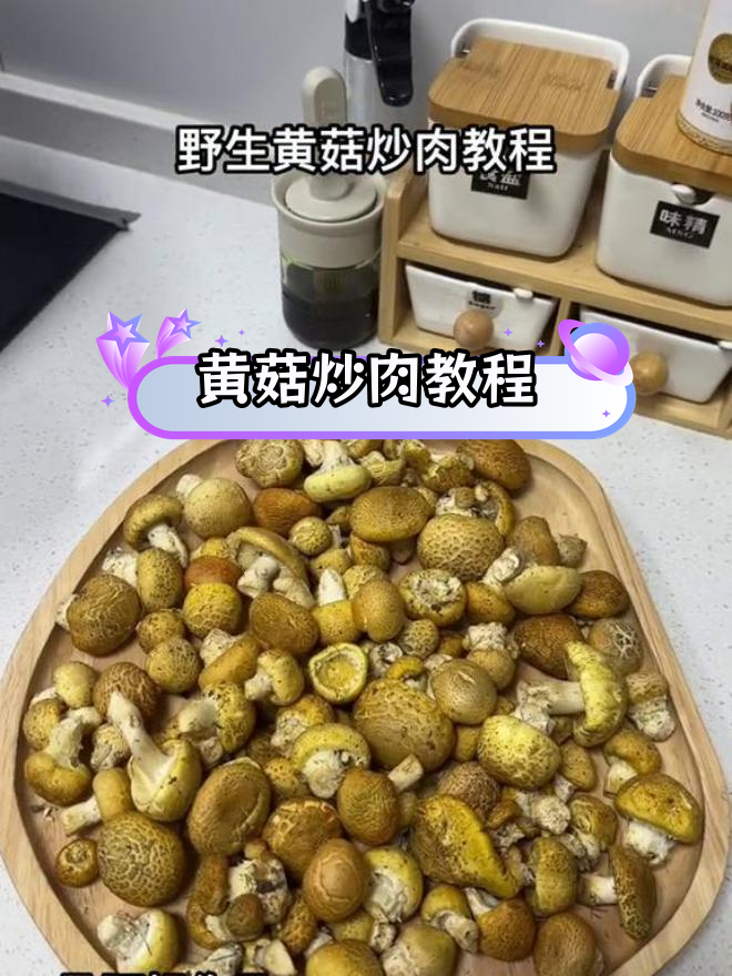 野生黄菇炒肉,做法大公开