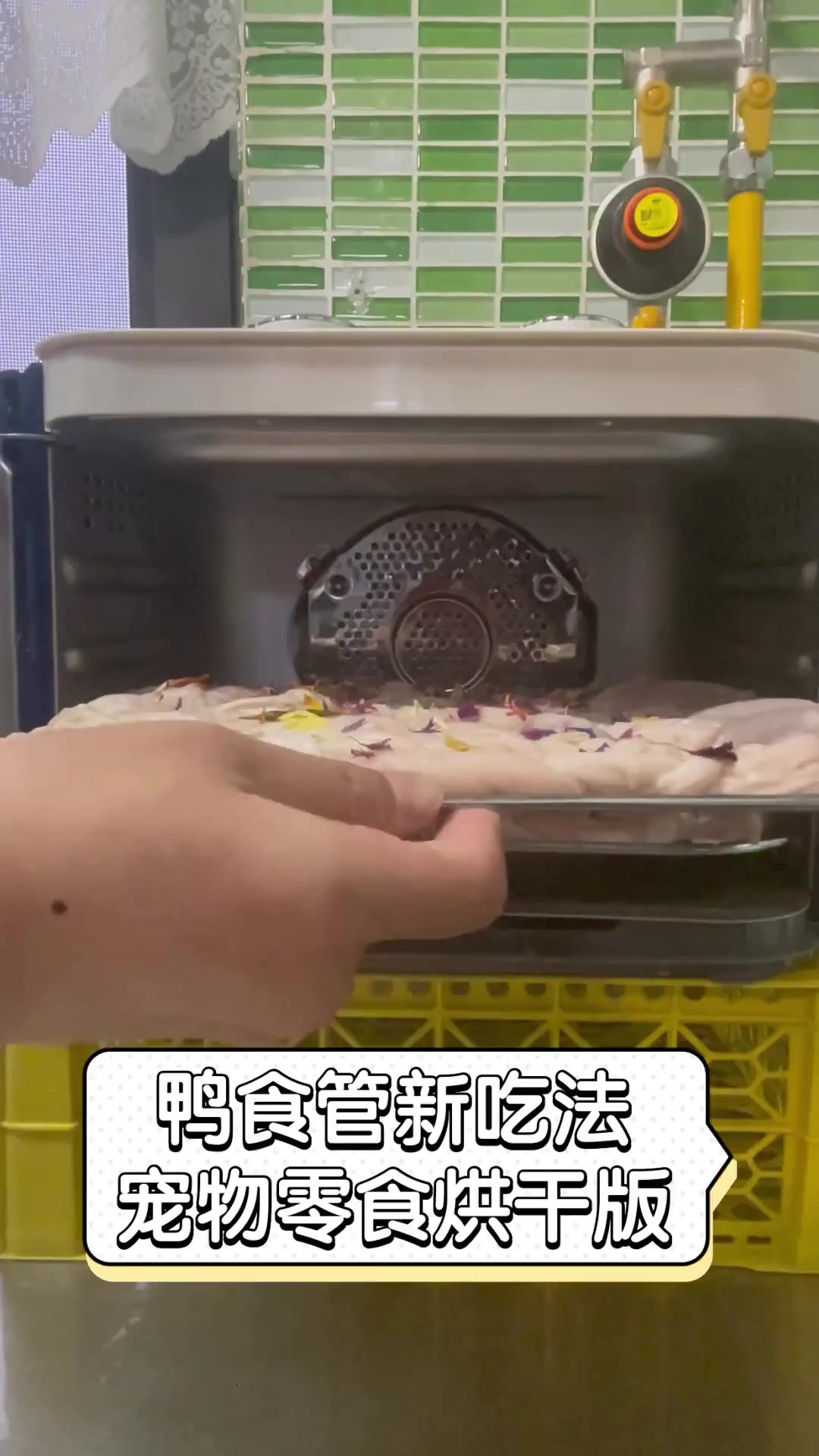 鸭食管新吃法,宠物零食烘干版
