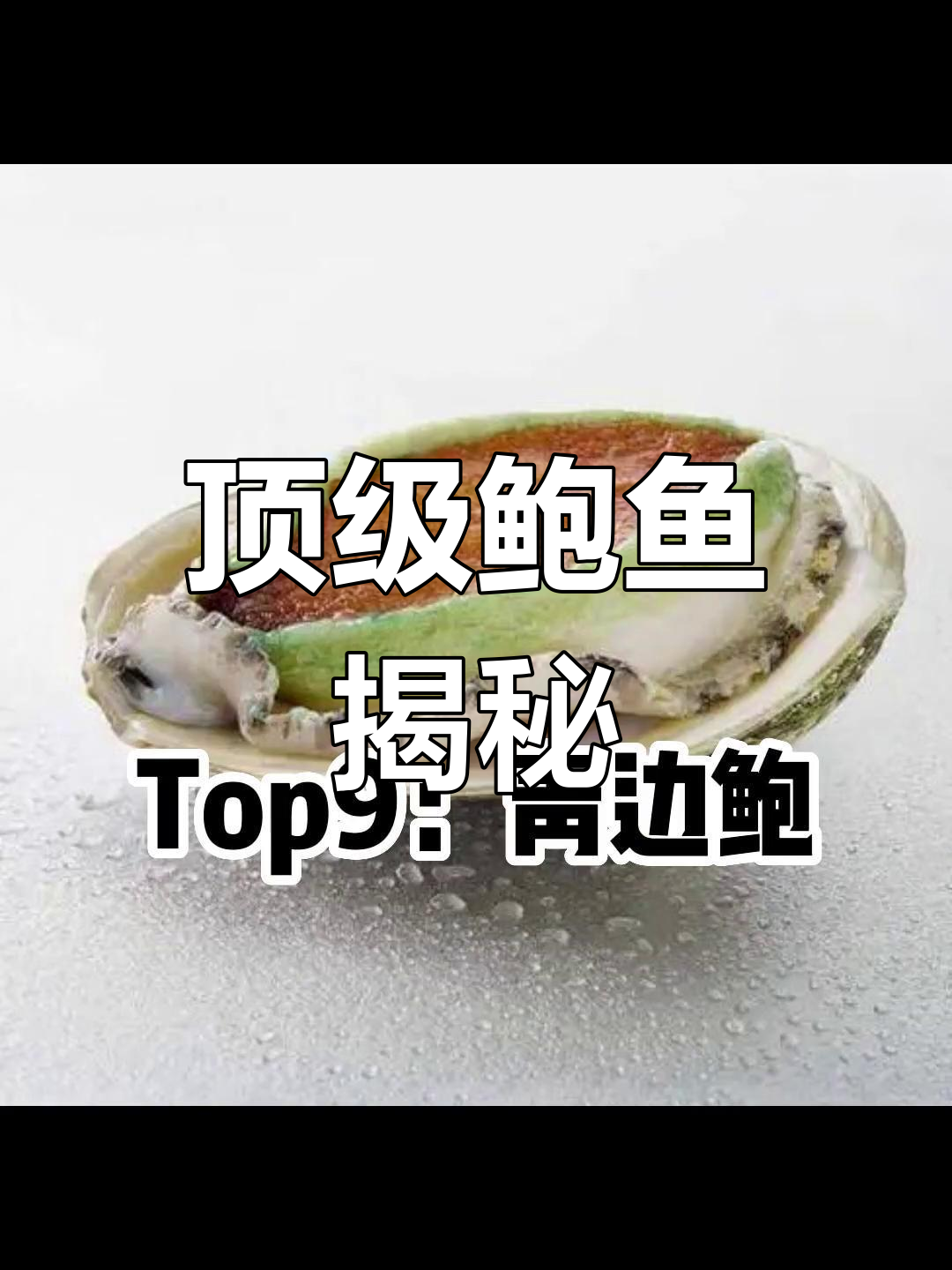 全球顶级鲍鱼,澳洲青边独占鳌头