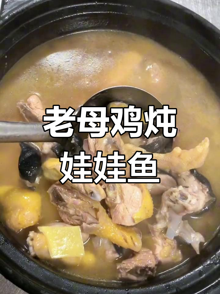 特色滋补老母鸡炖娃娃鱼