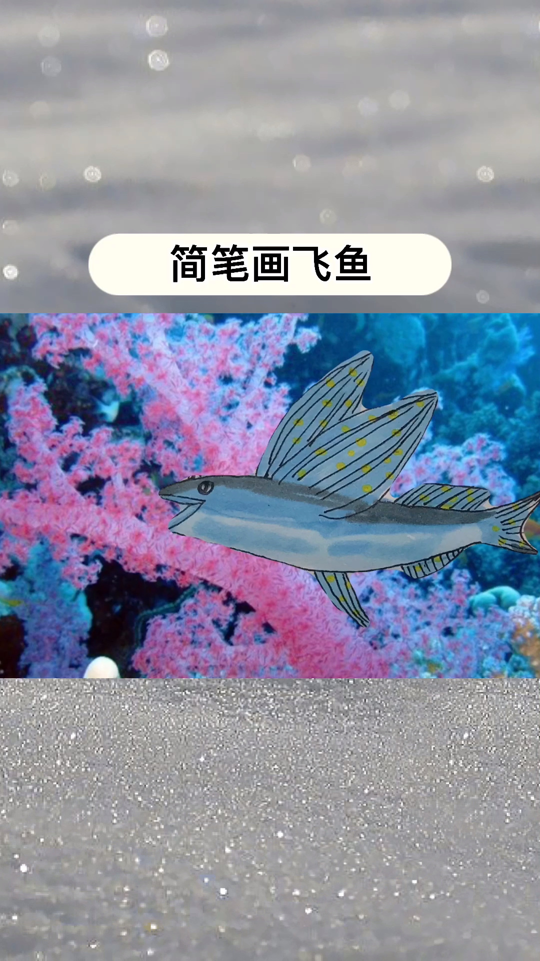 儿童简笔画《飞鱼》暑假里和宝贝一起遨游在绘