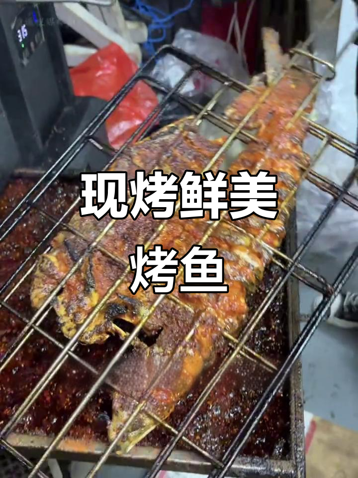 贵州夜火瓦片烤鱼,新鲜活鱼现烤,蔬菜也是当天采摘