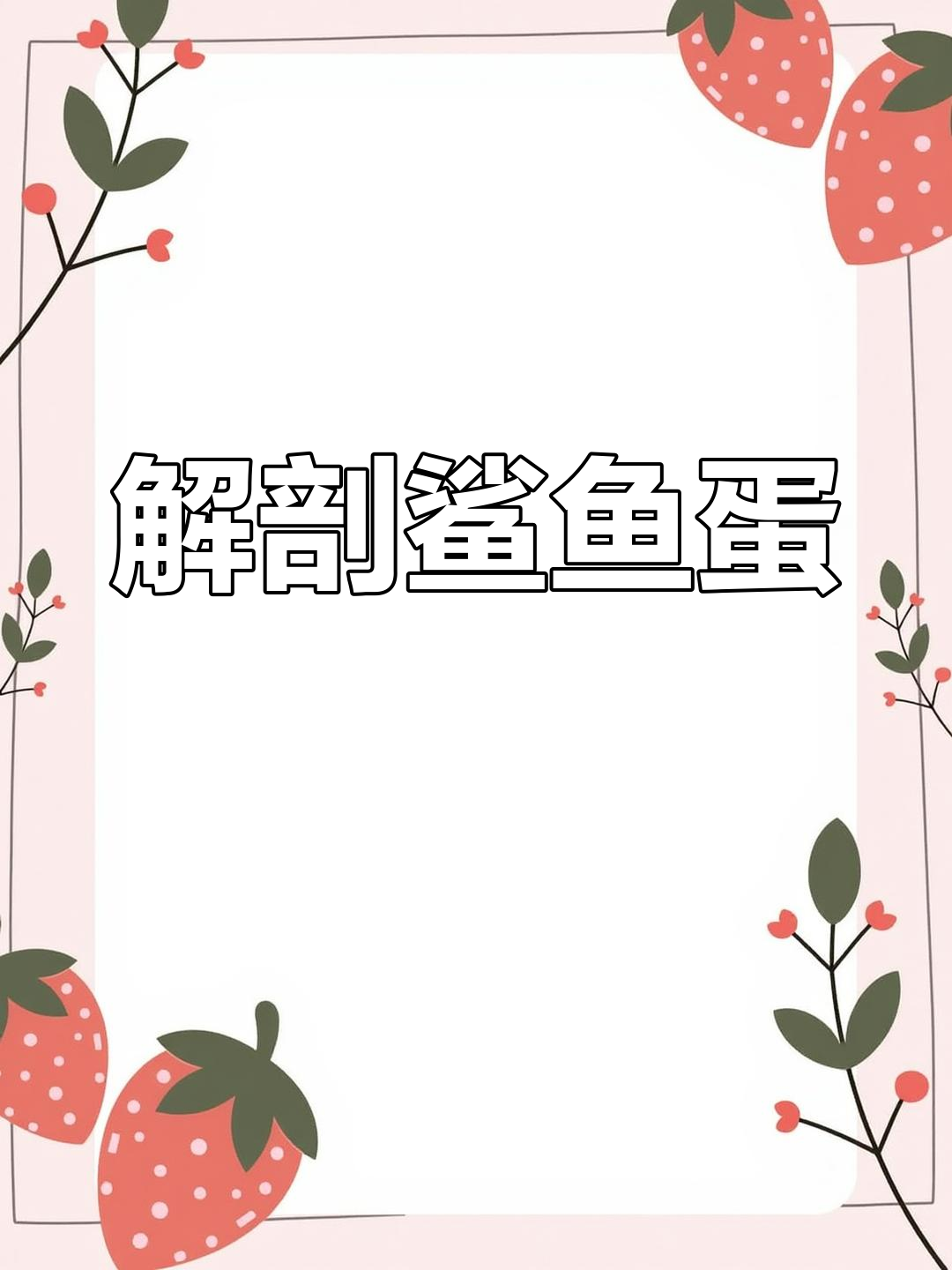 解剖鲨鱼蛋,恶心场面曝光