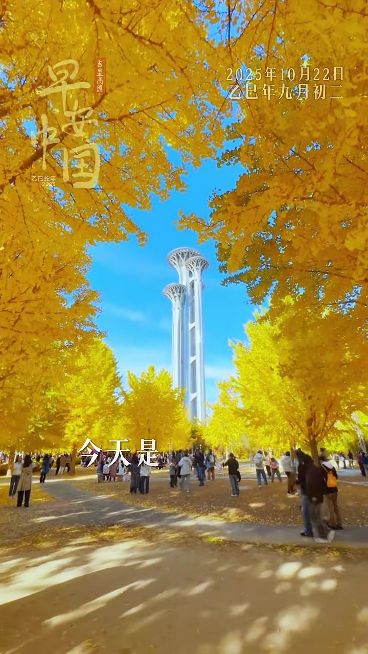 今天是10月22日,星期三,早安。秋风起,寒意浓,受台风和冷空气共同影响,气温明显下降,请