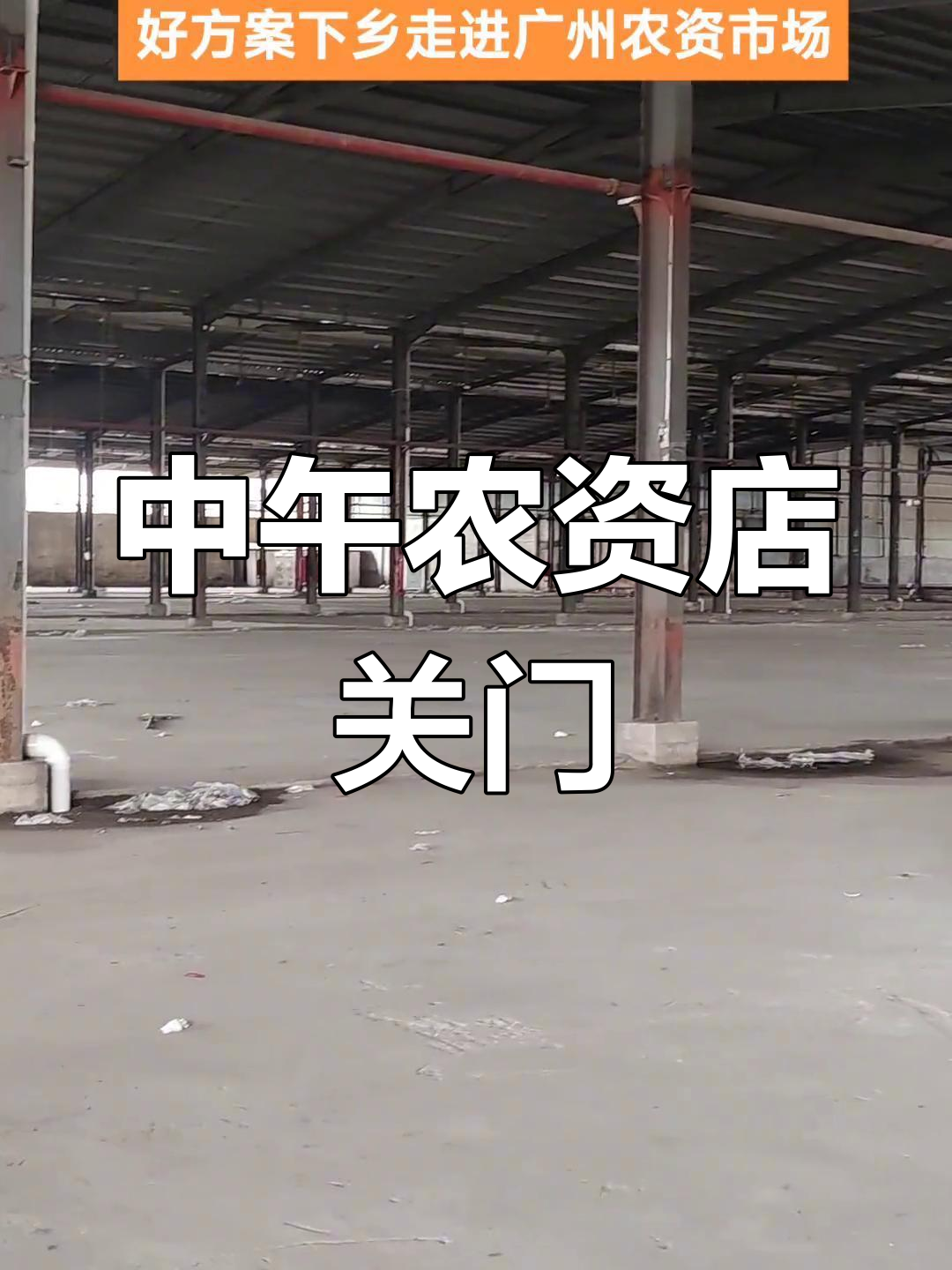 广州蔬菜批发市场中午冷清,晚上更热闹