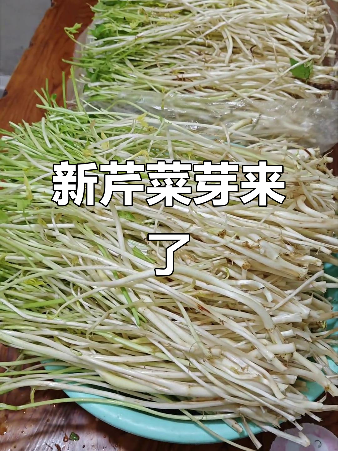 江山市新芹菜芽来啦,老板们心心念念的味道终于到手!