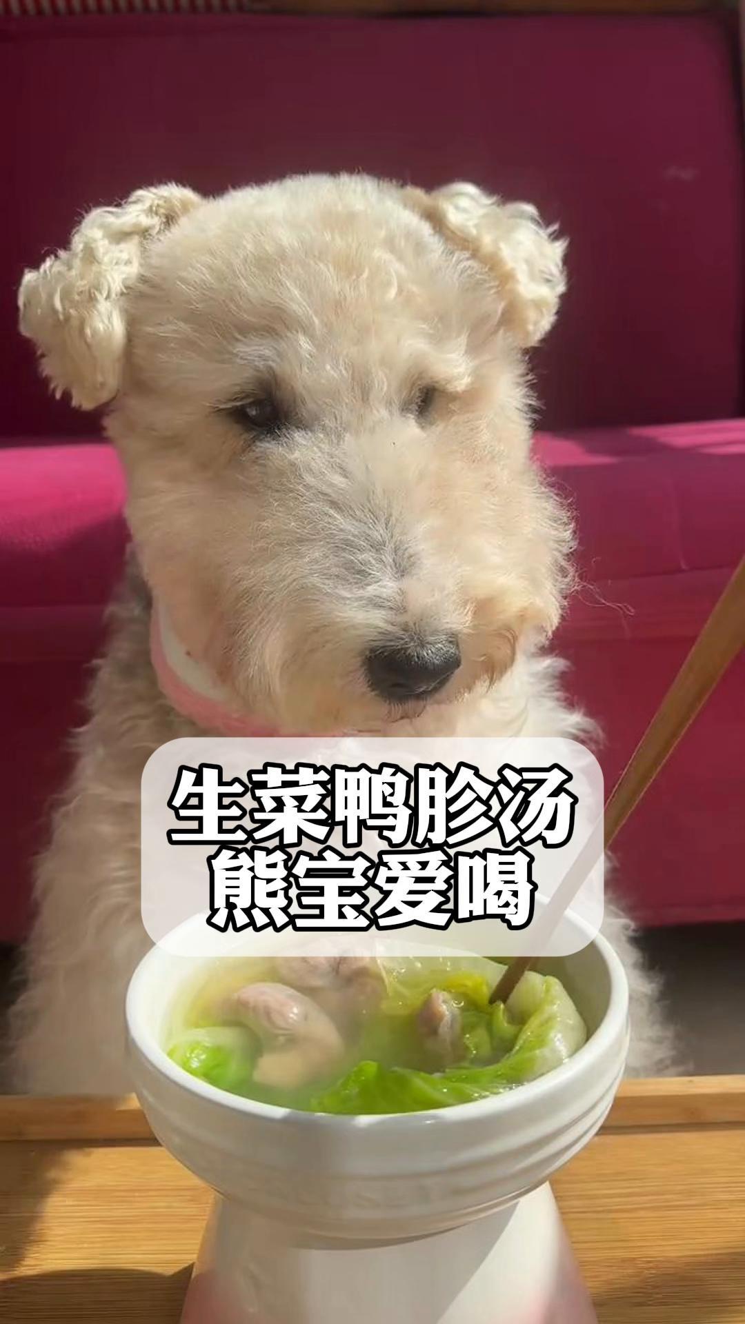 生菜鸭胗汤,熊宝爱喝