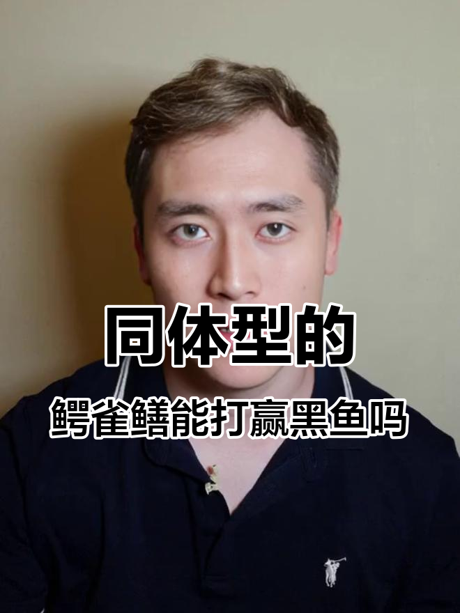 鳄雀鳝与黑鱼同体型对决，谁胜？