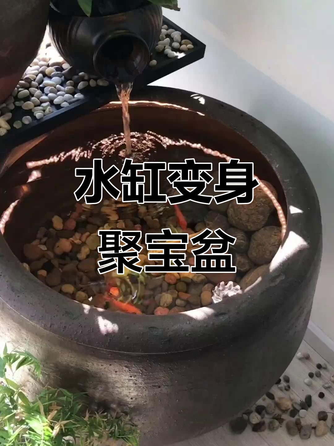 水缸养鱼,招财又美观,闲置空间变宝
