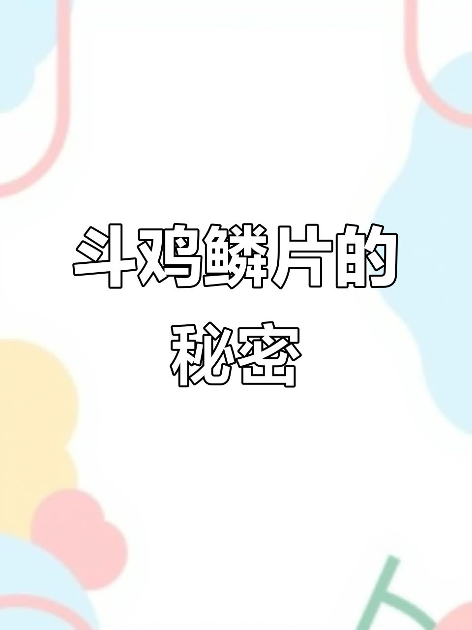 斗鸡鳞片大揭秘,传说中的螺纹钢竟是它!