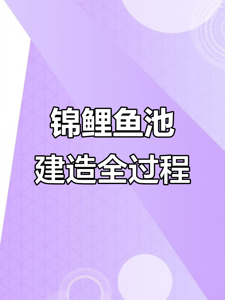 锦鲤鱼池设计与施工全程实拍，完美过滤系统打造